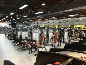 时尚与活力交汇 探索HLF活力工厂——你的都市健身休闲新地标